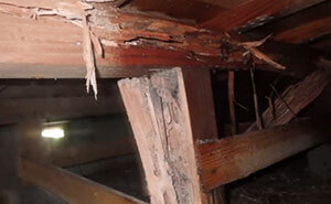 愛媛県内の床下バリア工法施工前