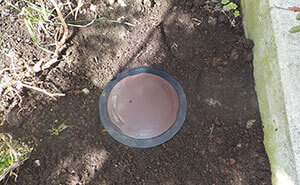 愛媛県内のベイト工法設置後